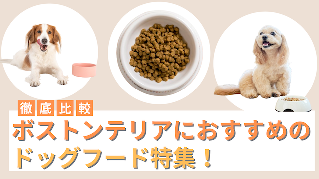 ボストンテリアにおすすめのドッグフード10選！市販・国産・海外産など