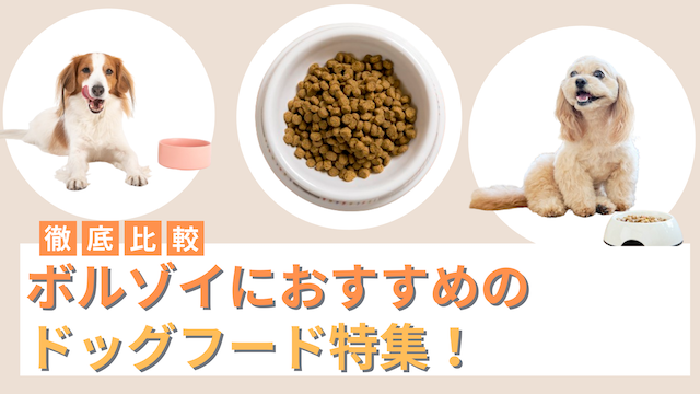 ボルゾイにおすすめのドッグフード14選！餌の選び方も解説