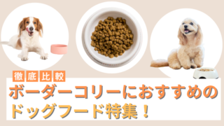 ボーダーコリーにおすすめのドッグフード21選！選び方も紹介