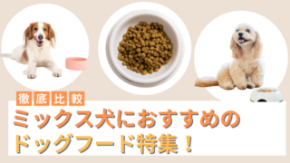 ミックス犬におすすめのドッグフード10選！選び方も解説
