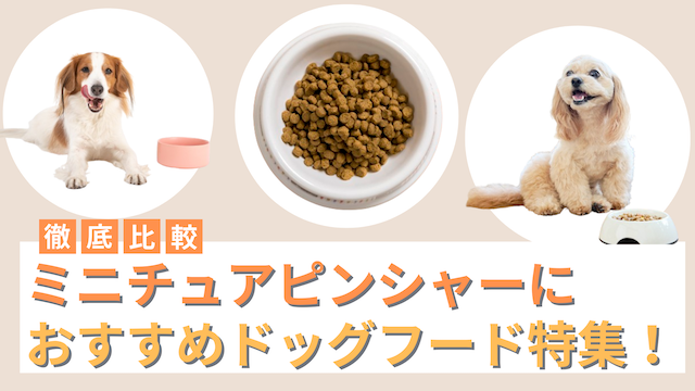 ミニチュアピンシャーにおすすめのドッグフード16選！餌代やフードを与える回数