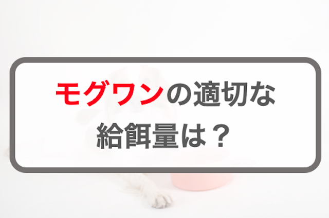 モグワンの給餌量！適量の計算方法・早見表【子犬・成犬・シニア犬】