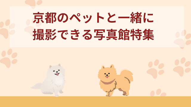 京都のペットと一緒に撮影できる写真館特集！犬猫が利用できるフォトスタジオおすすめ5選！
