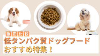 低タンパク質ドッグフードおすすめ5選！腎臓ケアや食いつきがいいフードの特徴を徹底比較