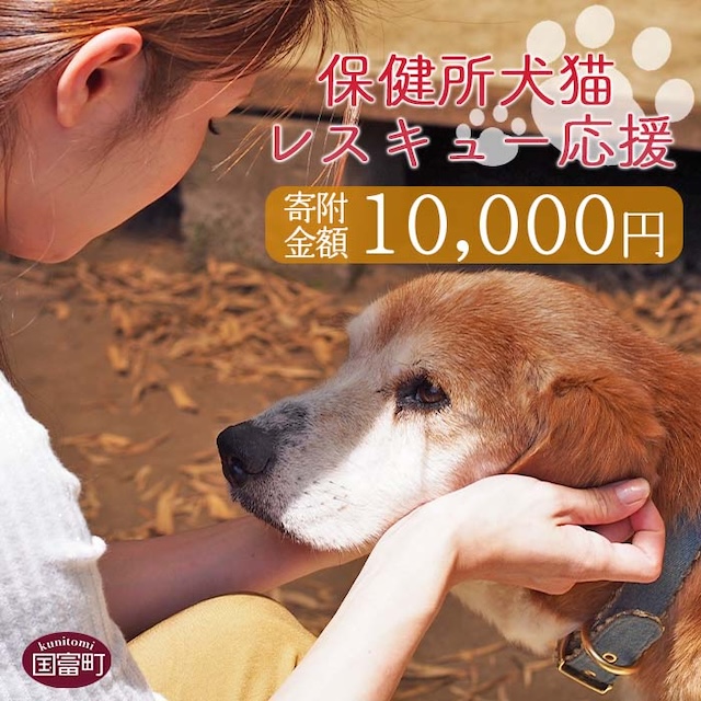 保健所犬猫レスキュー【返礼品なしのご寄附】