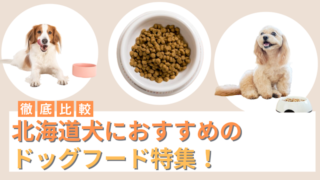 北海道犬におすすめのドッグフード8選！選ぶときに着目するポイントも