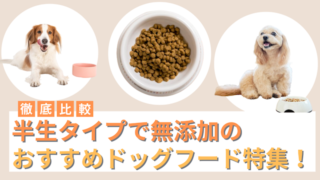 半生タイプで無添加のドッグフードおすすめ5選！国産フードや安全と評判のフードを徹底比較