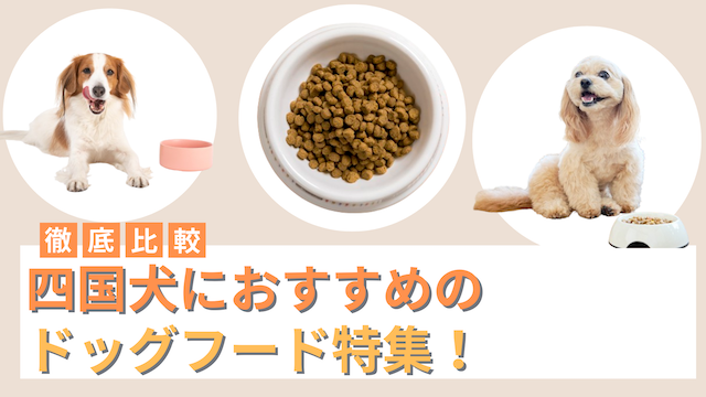 四国犬におすすめのドッグフード10選！選ぶポイントも紹介