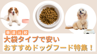 大袋タイプで安いドッグフードおすすめ5選！コスパの良いフードを徹底比較