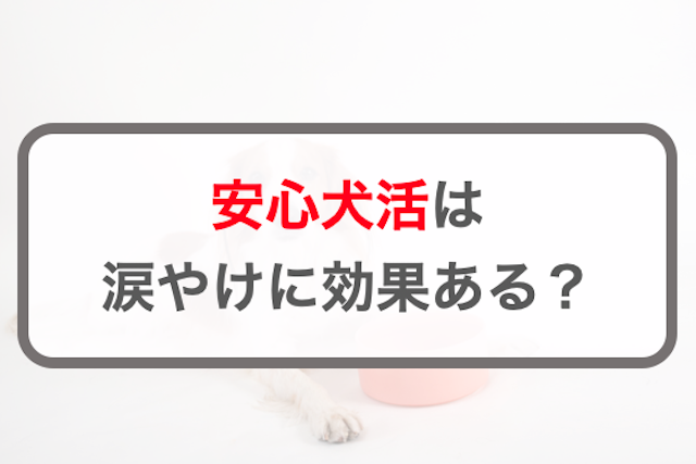 安心犬活は涙やけに効果がある？犬の涙やけの原因と改善するポイントを紹介