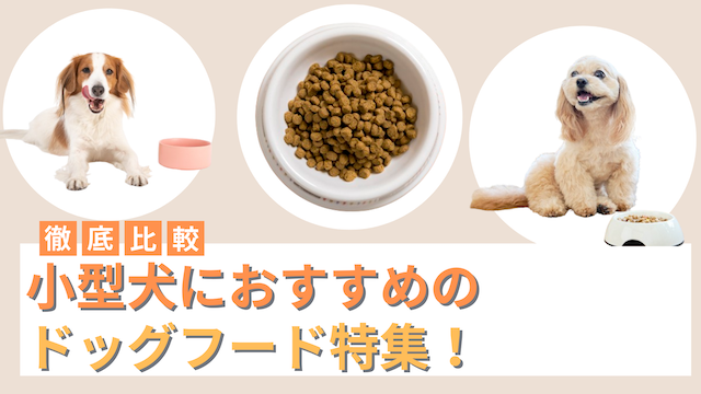 小型犬におすすめのドッグフード21選！選び方やQ&Aなども紹介