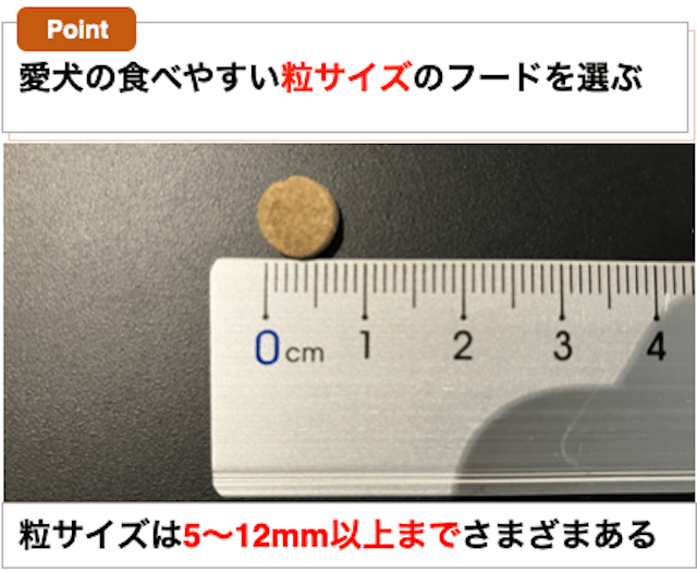 犬が食べやすいサイズのフードを選ぶ