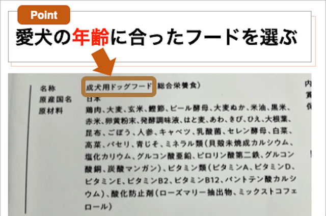 犬の年齢に合ったドッグフードを選ぶ