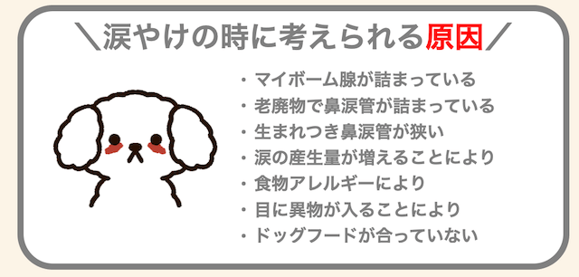 犬の涙やけで考えられる原因
