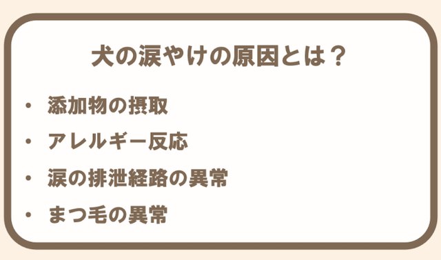犬の涙やけの原因