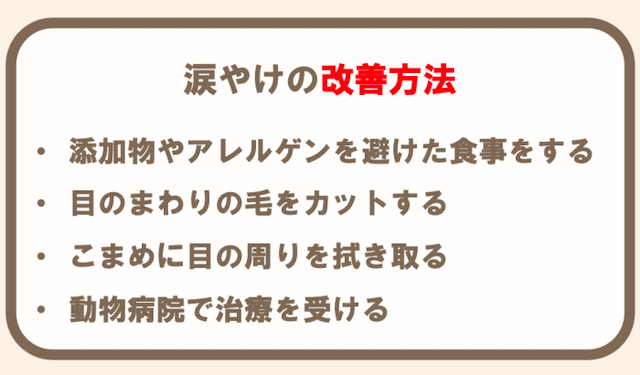 犬の涙やけを改善させる方法