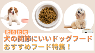 犬の関節にいいドッグフードおすすめ10選！原材料や成分などから安全と評判のフードを徹底比較