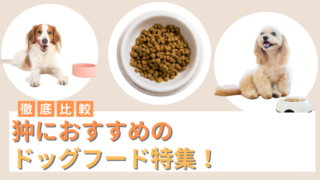 狆におすすめのドッグフード16選！選び方も解説