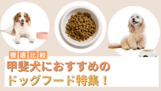 甲斐犬におすすめのドッグフード10選！選ぶときのポイントもご紹介