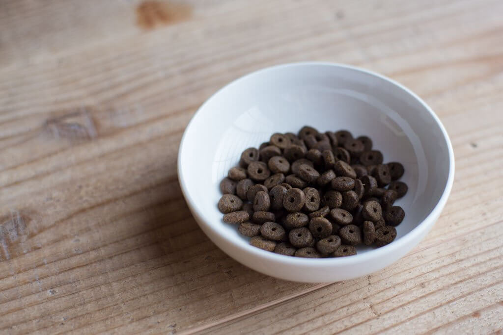 真ん中に穴が空いたドッグフード