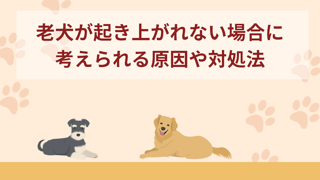 老犬(シニア犬)が起き上がれない場合に考えられる原因や対処法