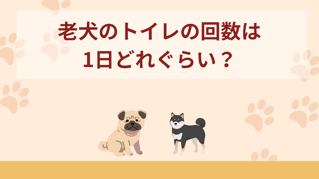 老犬(シニア犬)のトイレの回数は1日どれぐらい？回数の増減で考えられる原因