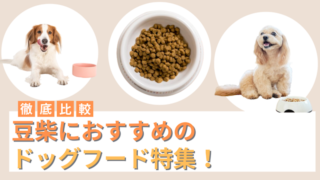 豆柴におすすめのドッグフード16選！ご飯を食べない時の対処法