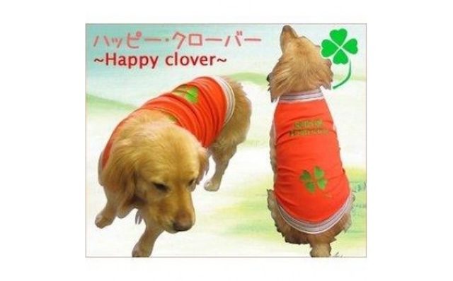 超大型犬用 犬服