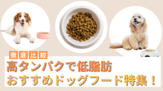 高タンパクで低脂肪のドッグフードおすすめ5選！フードの選び方もご紹介