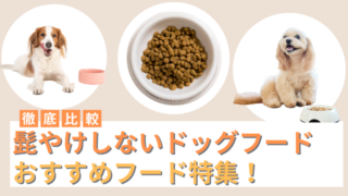 髭やけしないドッグフードおすすめ10選！ミニチュアシュナウザーの口の周りの髭を白く保つ髭やけ対策フード