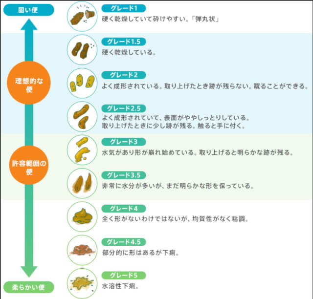 ウォルサム糞便スコアチャート