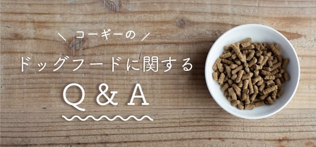コーギーの餌に関するQ&A