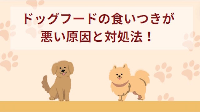 ドッグフードの食いつきが悪い原因！対処法と食いつきのいいフードも紹介
