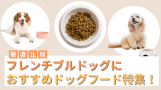 フレンチブルドッグにおすすめのドッグフード