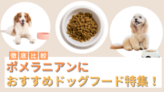 ポメラニアンにおすすめのドッグフード