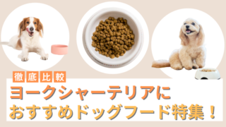 ヨークシャーテリアにおすすめのドッグフード