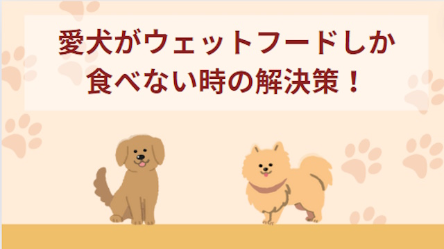 愛犬がウェットフードしか食べない！原因と解決策を解説