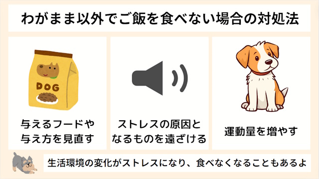 犬がわがまま以外で食べない場合の対処法