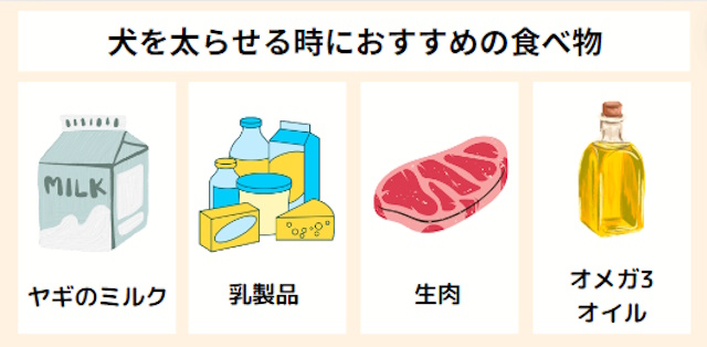 犬を太らせるのにおすすめの食べ物