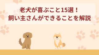 老犬が喜ぶこと15選！老犬との過ごし方や飼い主さんができることを解説