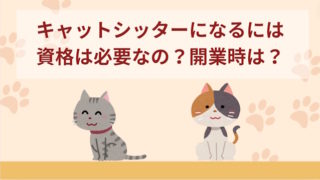 キャットシッターになるには資格は必要？バイトや独立時は必要か解説