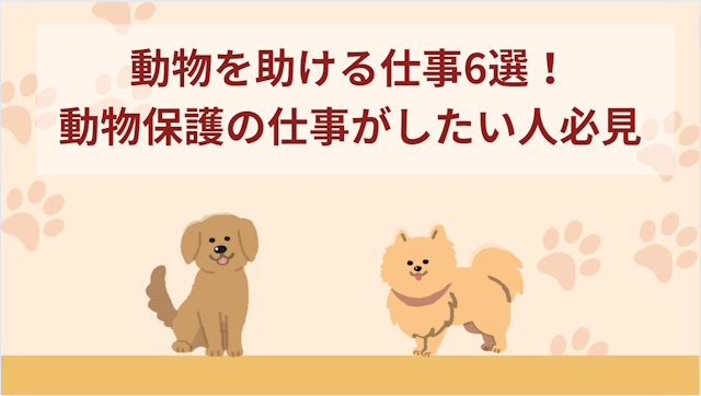 動物を助ける仕事6選！動物保護の仕事がしたい人必見