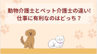 動物介護士とペット介護士の違いは4つ！仕事に有利のはどっちか解説