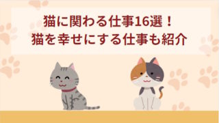 猫に関わる仕事16選！猫を幸せにする仕事・保護猫に関わる仕事も一挙紹介