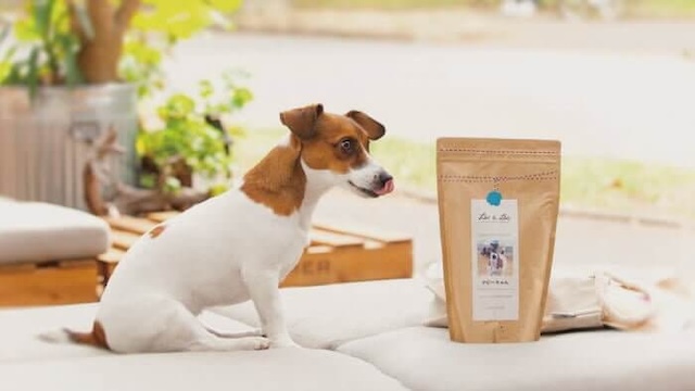 Leo&Lea(レオアンドレア)ドッグフードと犬