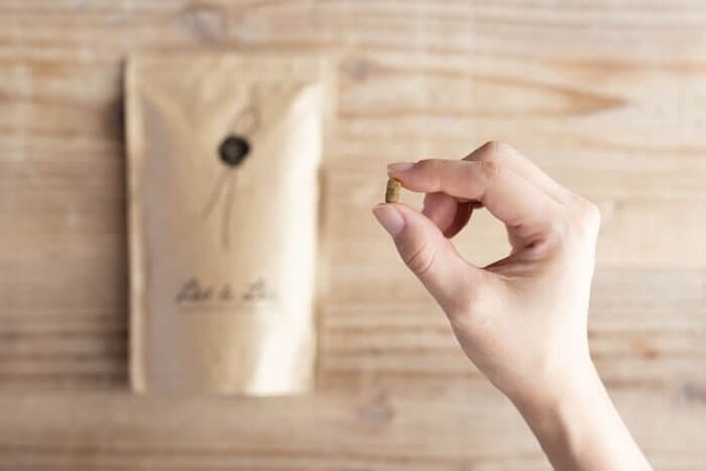 Leo&Lea(レオアンドレア)ドッグフードの粒の大きさ