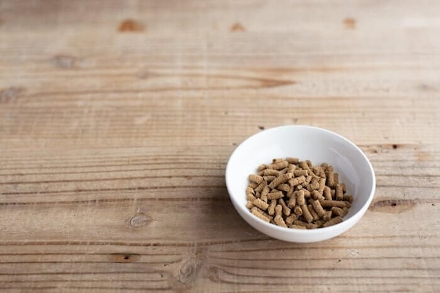 お皿に入った犬心～消化器ケア