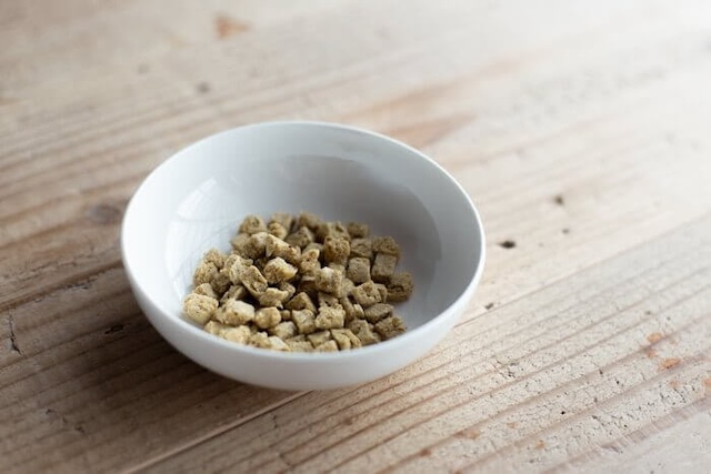 お皿に入られたヴィジョンズドッグフード