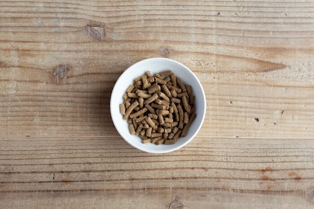 お皿に入れられた犬心～消化器ケア