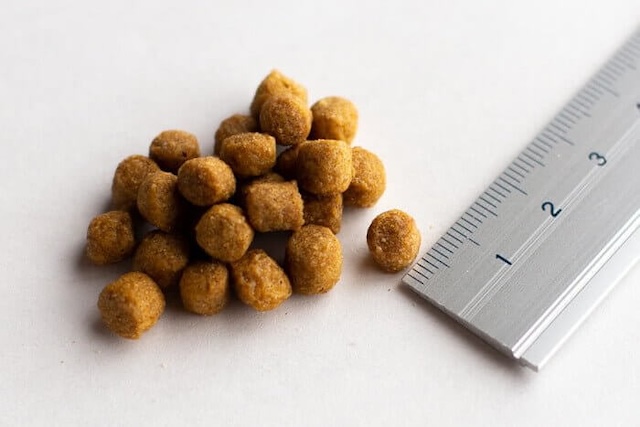 イー・フィッシュの粒のサイズ